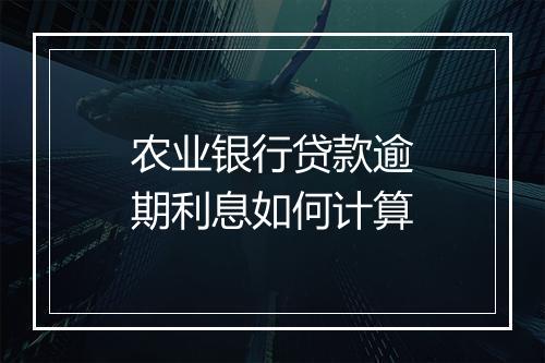 农业银行贷款逾期利息如何计算