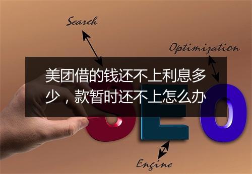 美团借的钱还不上利息多少，款暂时还不上怎么办