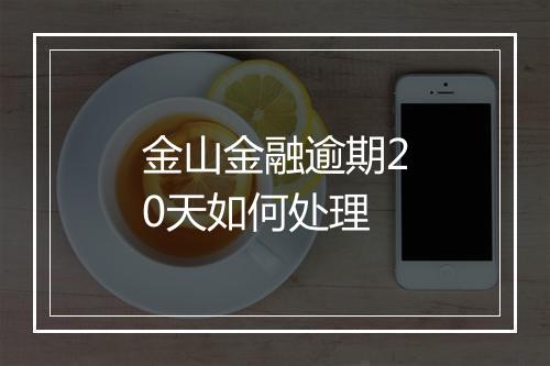 金山金融逾期20天如何处理