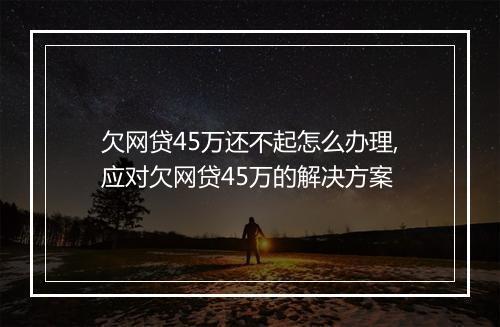 欠网贷45万还不起怎么办理,应对欠网贷45万的解决方案