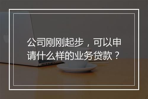 公司刚刚起步，可以申请什么样的业务贷款？