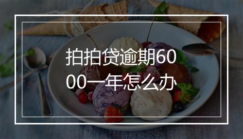 拍拍贷逾期6000一年怎么办