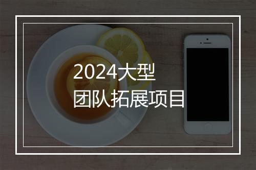 2024大型团队拓展项目