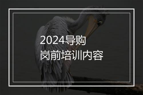 2024导购岗前培训内容