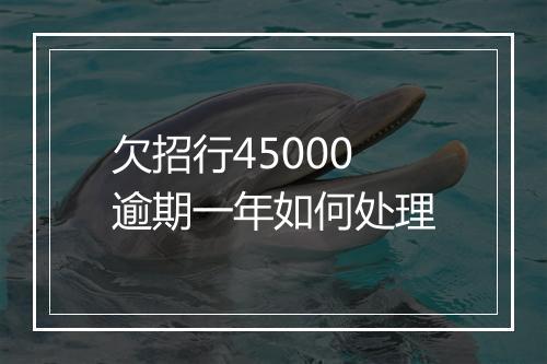 欠招行45000逾期一年如何处理