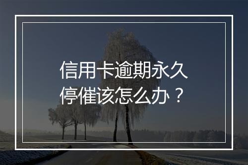 信用卡逾期永久停催该怎么办？