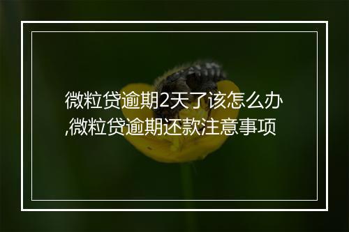微粒贷逾期2天了该怎么办,微粒贷逾期还款注意事项