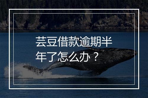 芸豆借款逾期半年了怎么办？