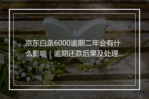 京东白条6000逾期二年会有什么影响（逾期还款后果及处理方式）