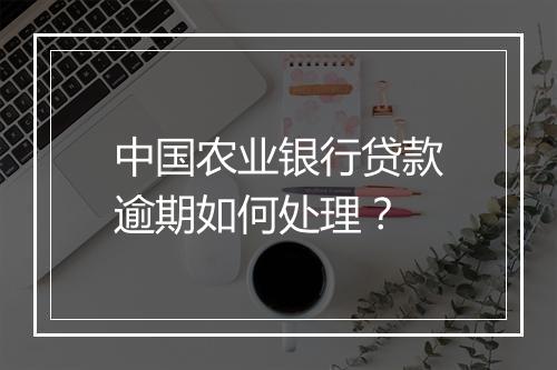中国农业银行贷款逾期如何处理？