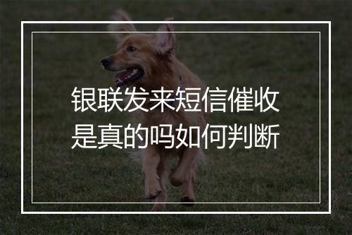 银联发来短信催收是真的吗如何判断