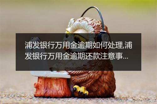 浦发银行万用金逾期如何处理,浦发银行万用金逾期还款注意事项