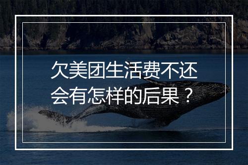 欠美团生活费不还会有怎样的后果？