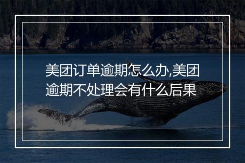 美团订单逾期怎么办,美团逾期不处理会有什么后果
