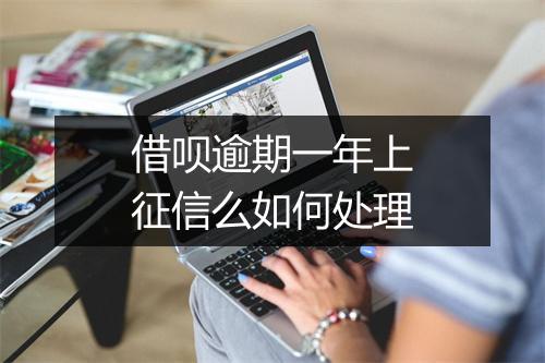 借呗逾期一年上征信么如何处理