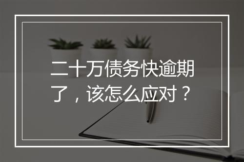 二十万债务快逾期了，该怎么应对？