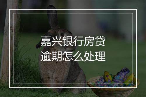 嘉兴银行房贷逾期怎么处理