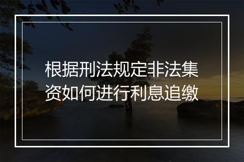 根据刑法规定非法集资如何进行利息追缴