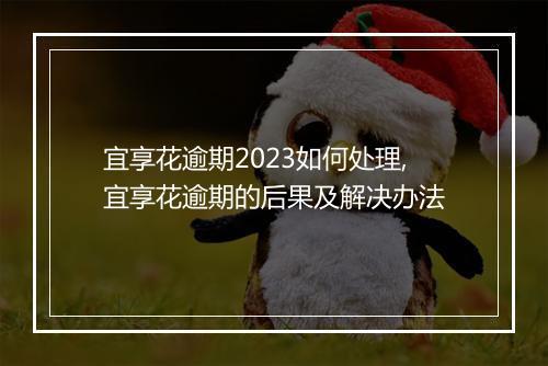 宜享花逾期2023如何处理,宜享花逾期的后果及解决办法