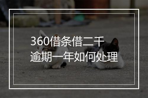 360借条借二千逾期一年如何处理
