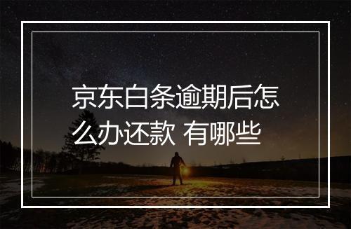 京东白条逾期后怎么办还款 有哪些