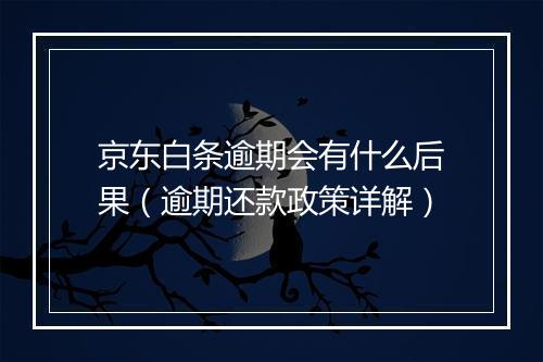 京东白条逾期会有什么后果（逾期还款政策详解）