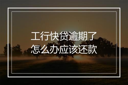 工行快贷逾期了怎么办应该还款