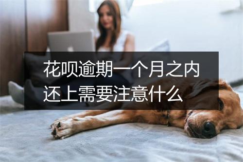 花呗逾期一个月之内还上需要注意什么