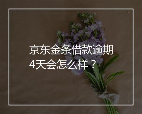 京东金条借款逾期4天会怎么样？