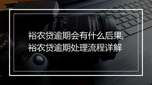 裕农贷逾期会有什么后果,裕农贷逾期处理流程详解