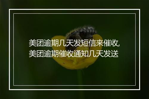 美团逾期几天发短信来催收,美团逾期催收通知几天发送