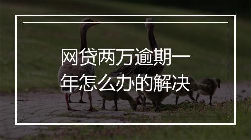 网贷两万逾期一年怎么办的解决