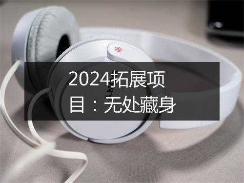 2024拓展项目：无处藏身