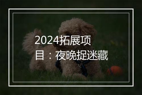 2024拓展项目：夜晚捉迷藏