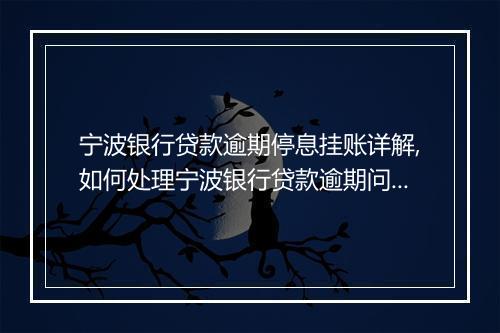 宁波银行贷款逾期停息挂账详解,如何处理宁波银行贷款逾期问题
