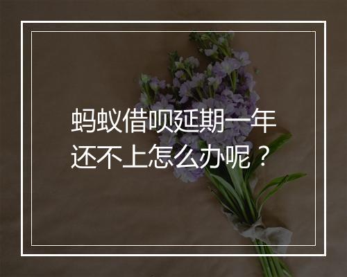 蚂蚁借呗延期一年还不上怎么办呢？