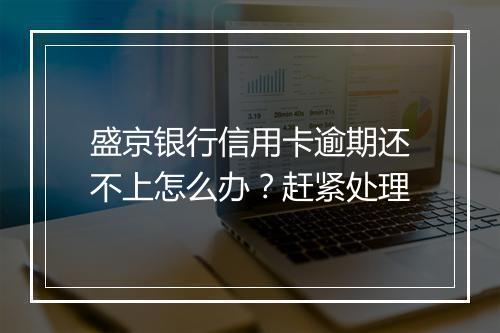 盛京银行信用卡逾期还不上怎么办？赶紧处理