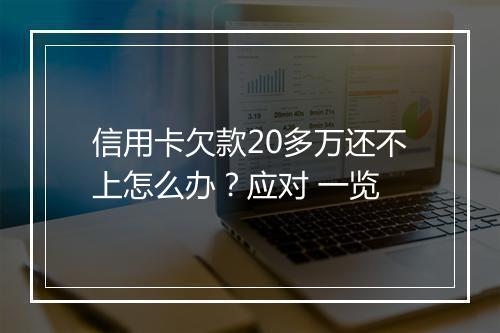 信用卡欠款20多万还不上怎么办？应对 一览