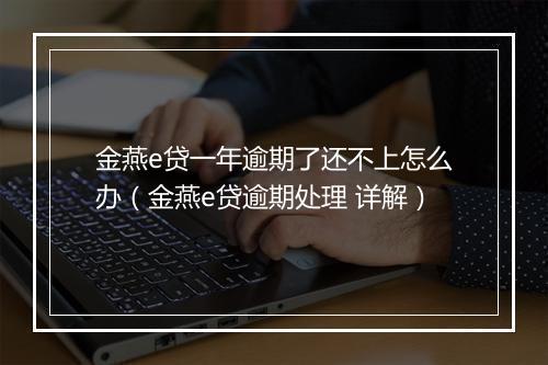 金燕e贷一年逾期了还不上怎么办（金燕e贷逾期处理 详解）