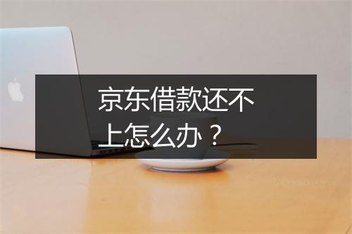 京东借款还不上怎么办？