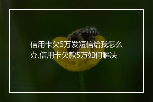 信用卡欠5万发短信给我怎么办,信用卡欠款5万如何解决