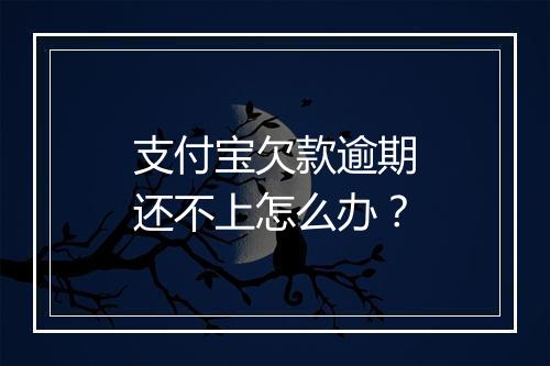 支付宝欠款逾期还不上怎么办？