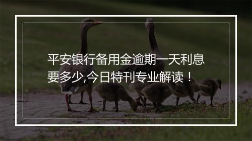 平安银行备用金逾期一天利息要多少,今日特刊专业解读！