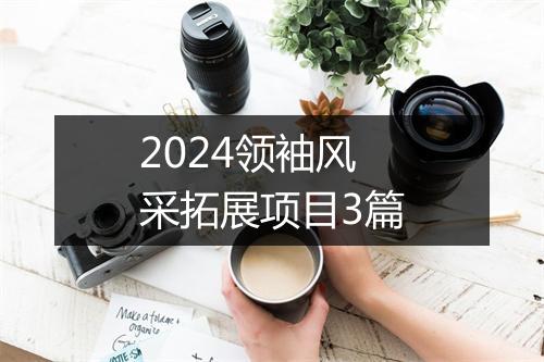 2024领袖风采拓展项目3篇