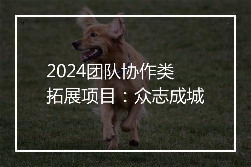 2024团队协作类拓展项目：众志成城