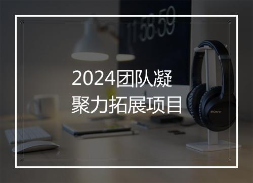 2024团队凝聚力拓展项目