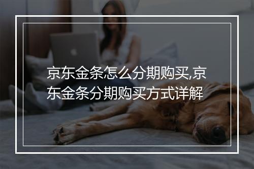 京东金条怎么分期购买,京东金条分期购买方式详解