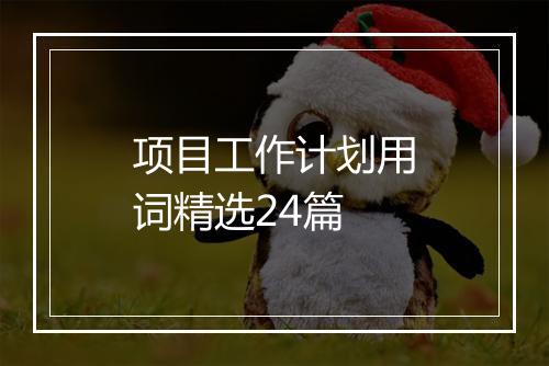 项目工作计划用词精选24篇