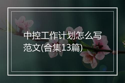 中控工作计划怎么写范文(合集13篇)