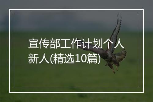 宣传部工作计划个人新人(精选10篇)